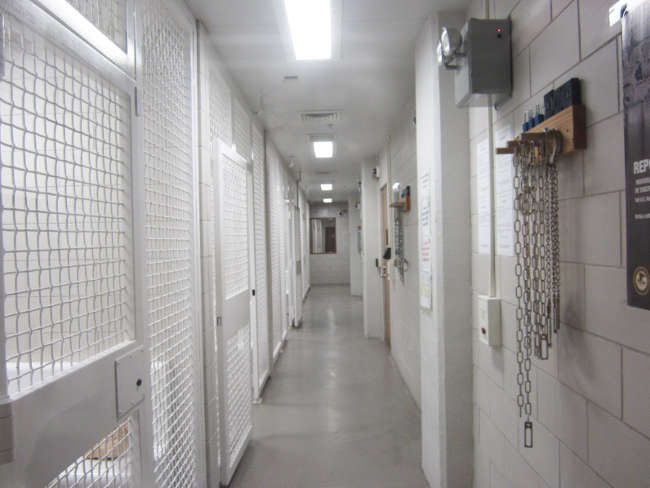 Analysis Architecture and Courthouse Planning Secure Cells - Fentress Inc.
