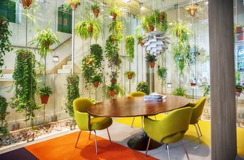 Increase Productivity and Health with Plants in the Workplace