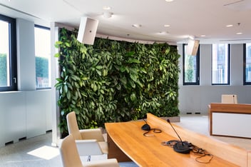 Can Plantscaping Cure the Ills of the Open Office?