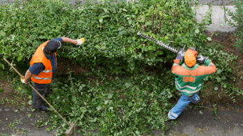 How Landscaping Can Enhance Courthouse Security