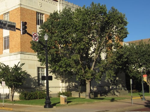 Courthouse Landscaping Overgrown Tree Canopy