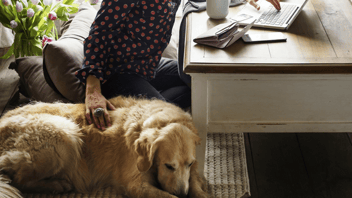 Fido in the Home Office: Friend or Foe?