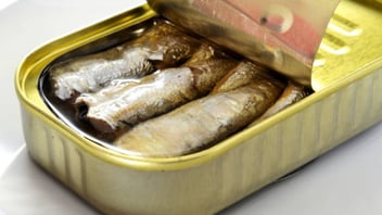 Employees Are Not Sardines: Don't Pack Them Into Your Open Office